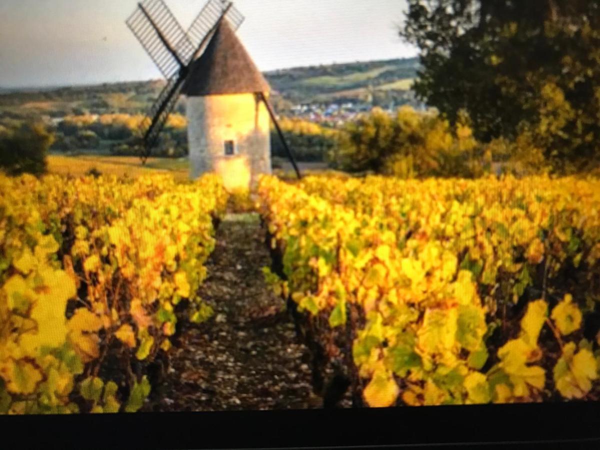 Maison M On The Dordogne Sainte Foy la Grande Bagian luar foto